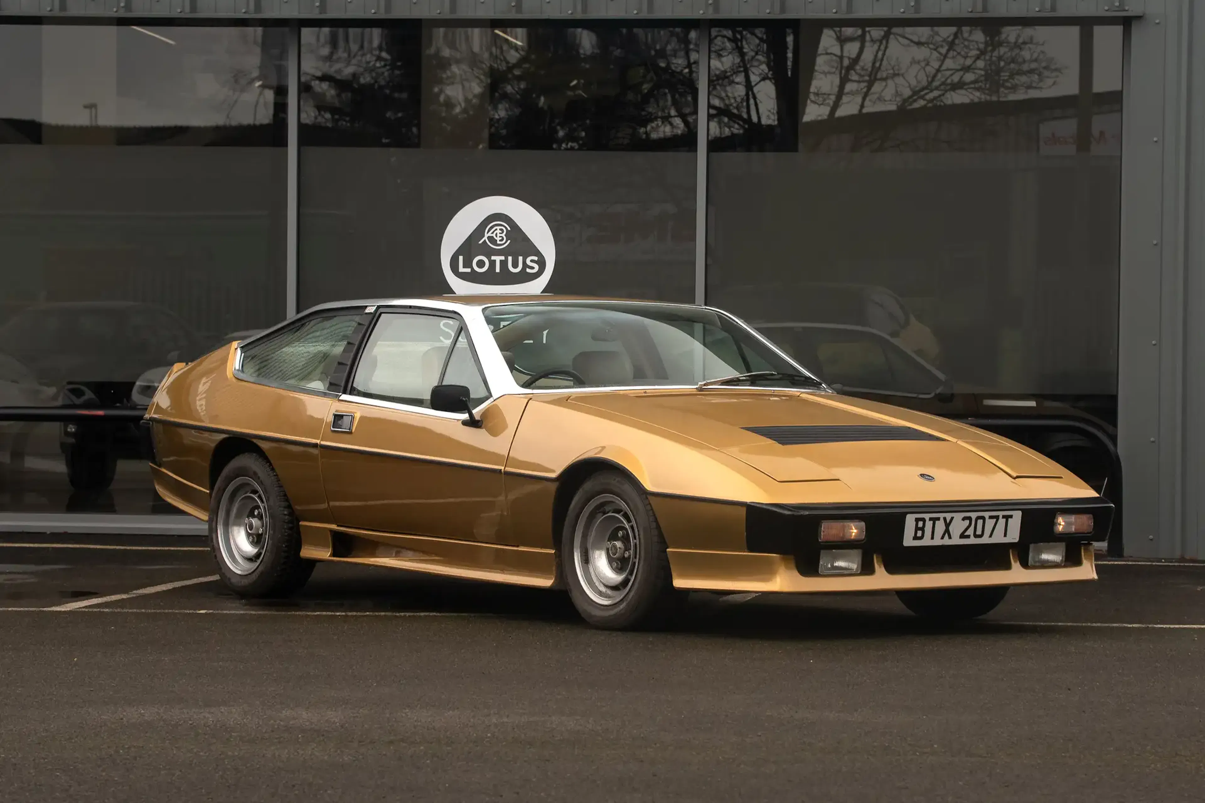 ACSOD LOTUS 5'5\